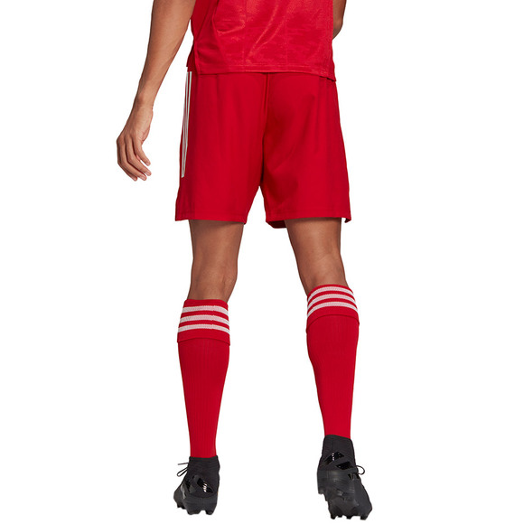 Spodenki męskie adidas Condivo 21 Primeblue Shorts czerwone GJ6810