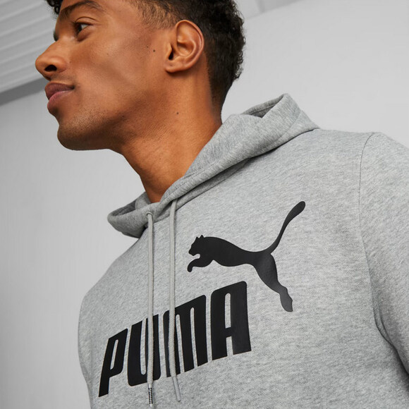 Bluza męska Puma ESS Big Logo Hoodie FL szara 586686 03