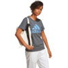 Koszulka damska adidas Loungewear Essentials Logo Tee szara IC0634