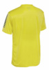 SELECT Koszulka PISA yellow/ blue żółto/ niebieska