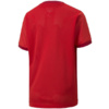Koszulka dla dzieci Puma teamGOAL 23 Jersey czerwona 704160 01