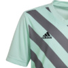 Koszulka dla dzieci adidas Entrada 22 Graphic Jersey miętowo-szara HF0127