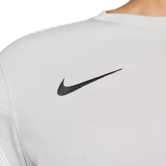 Bluza bramkarska męska Nike Dry Park IV JSY LS GK szara CJ6066 052