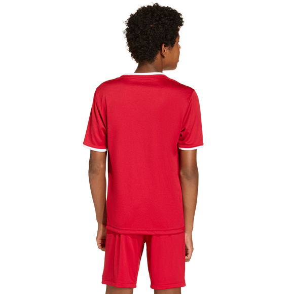 Koszulka dla dzieci adidas Entrada 26 Jersey czerwona JZ2523