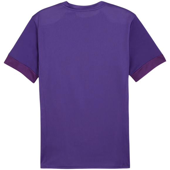 Koszulka męska Puma teamGoal Matchday Jersey fioletowa 705747 10