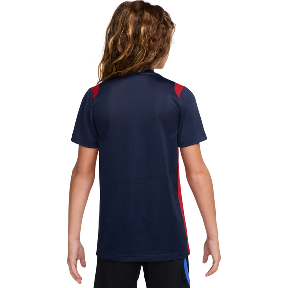 Koszulka dla dzieci Nike Paris Saint-Germain Academy Pro granatowa II1664 410