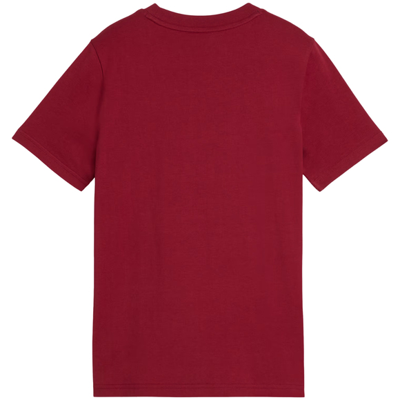 Koszulka dla dzieci Puma ESS Small No.1 Logo Centered Tee brązowa 692975 23