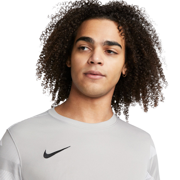 Bluza bramkarska męska Nike Dry Park IV JSY LS GK szara CJ6066 052
