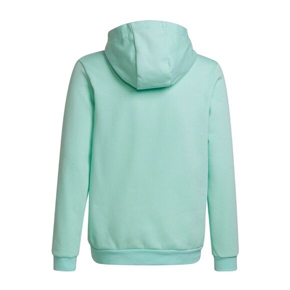 Bluza dla dzieci adidas Entrada 22 Hoody miętowa HC5066