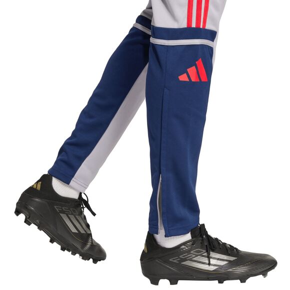 Spodnie męskie adidas Squadra 25 Training szare JP3372