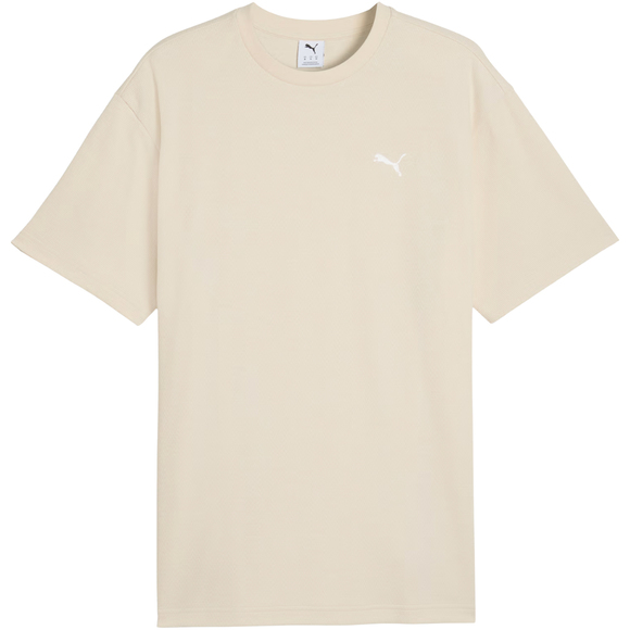 Koszulka męska Puma ESS Elevated Relaxed Tee beżowa 692018 87