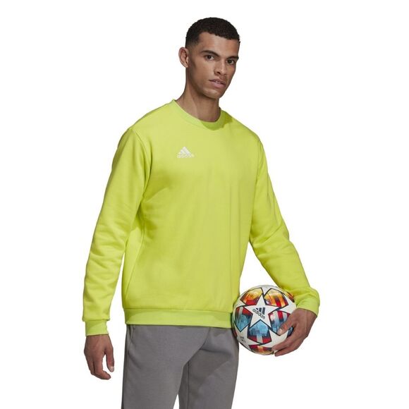 Bluza męska adidas Entrada 22 Sweat Top limonkowa HC5049