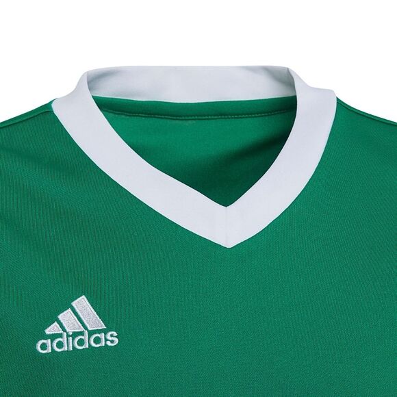 Koszulka dla dzieci adidas Entrada 22 Jersey zielona HI2126