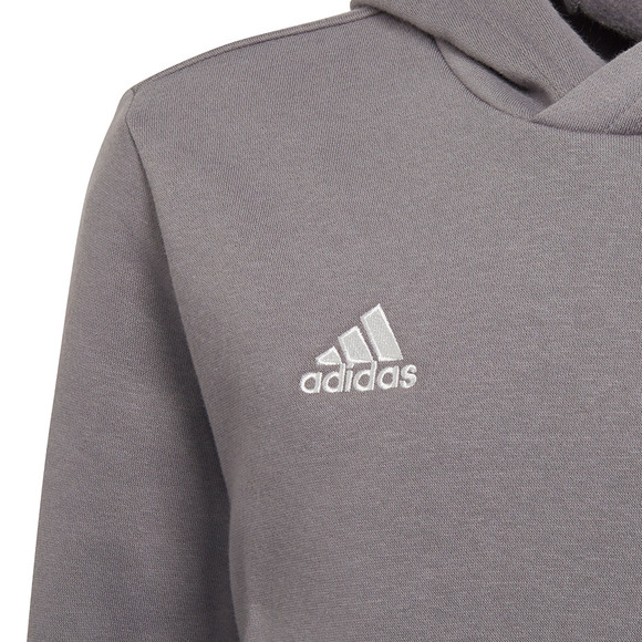 Bluza dla dzieci adidas Entrada 22 Hoody szara H57515