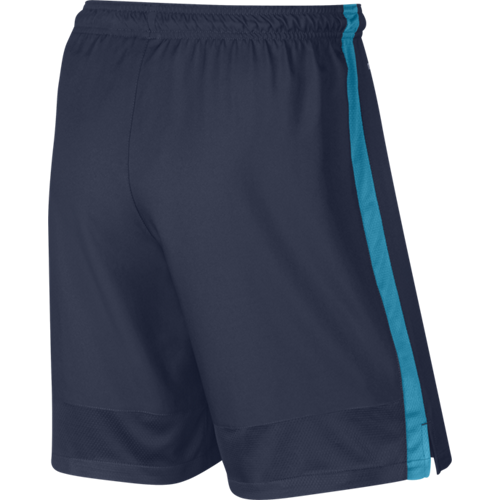 SPODENKI NIKE STRIKE LGR WVN /688390 411  
