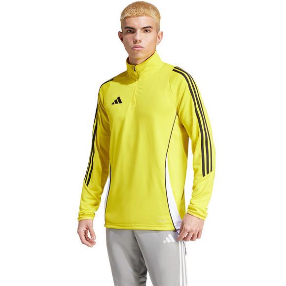 Spodenki męskie adidas Tiro 24 szare IS1408