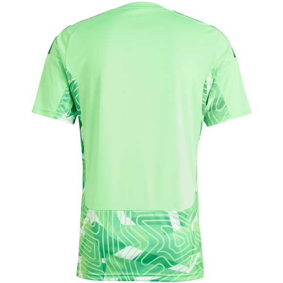 Koszulka męska adidas Tiro 26 Competition Goalkeeper Jersey zielona KC5353