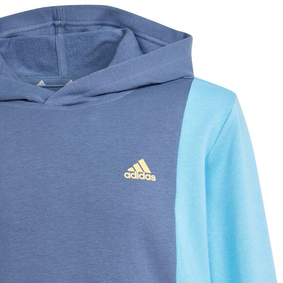 Spodenki męskie adidas Tiro 24 szare IS1408