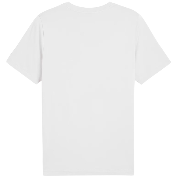 Koszulka męska Puma Graphics Wording Tee biała 684825 02