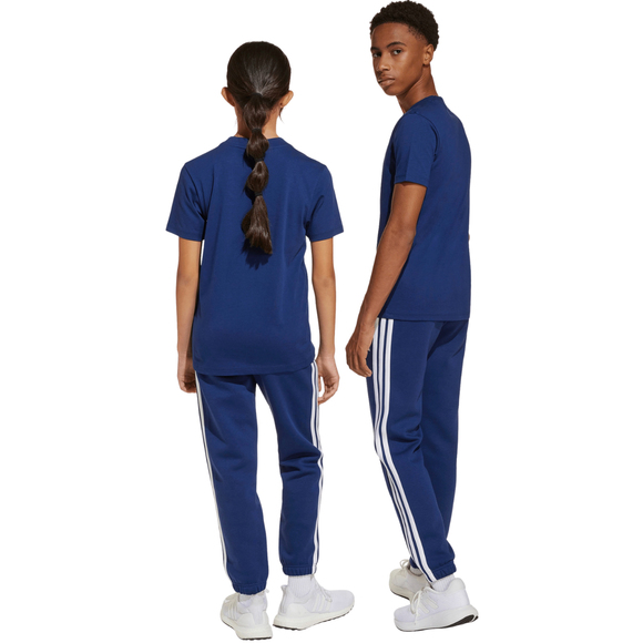 Spodnie dla dzieci adidas Essentials niebieskie JY0603