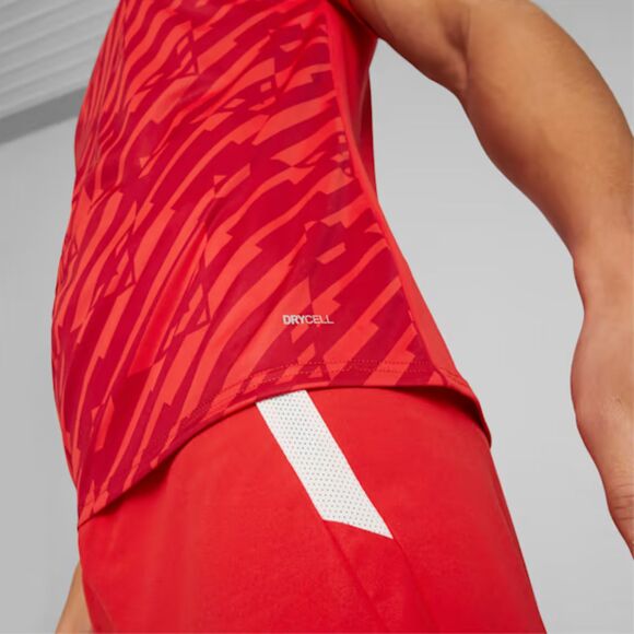 Koszulka męska Puma teamULTIMATE czerwona 705371 01