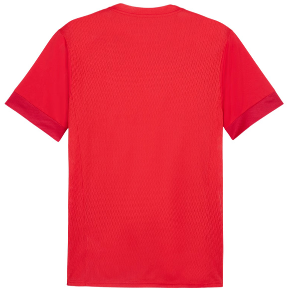 Koszulka męska Puma teamGoal Matchday Jersey czerwona 705747 01