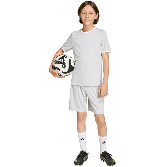 Koszulka dla dzieci adidas Entrada 26 Jersey szara JZ2525