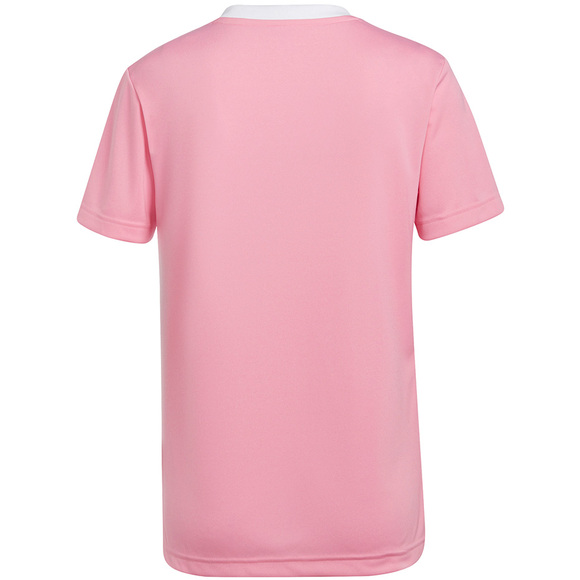 Koszulka damska adidas Entrada 22 Jersey różowa HC5075