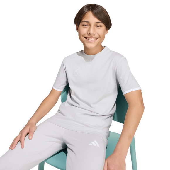 Koszulka dla dzieci adidas Entrada 26 Tee szara JZ6672