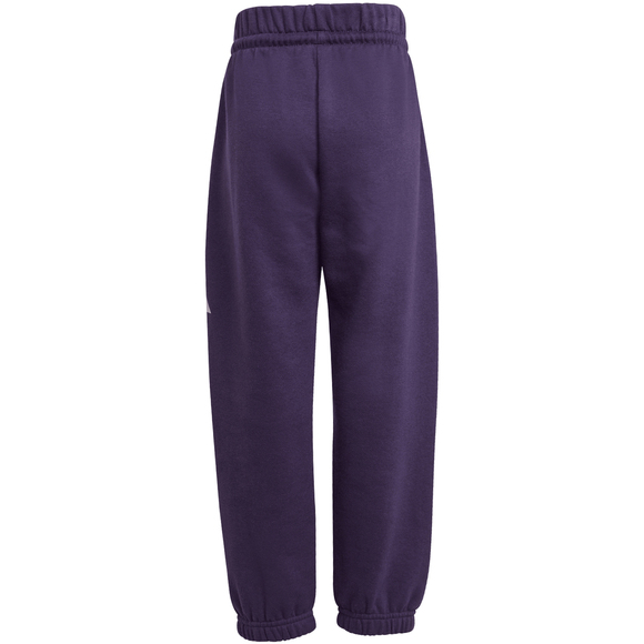 Dres dla dzieci adidas Essentials Joggers fioletowy JW2439