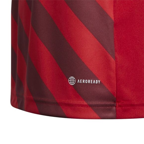 Koszulka dla dzieci adidas Entrada 22 Graphic Jersey czerwona H58983