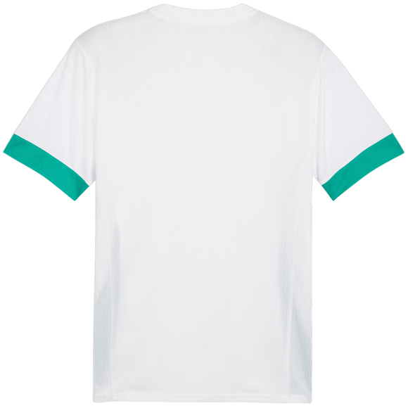 Koszulka męska Puma teamGoal Matchday Jersey biało-zielona 705747 15