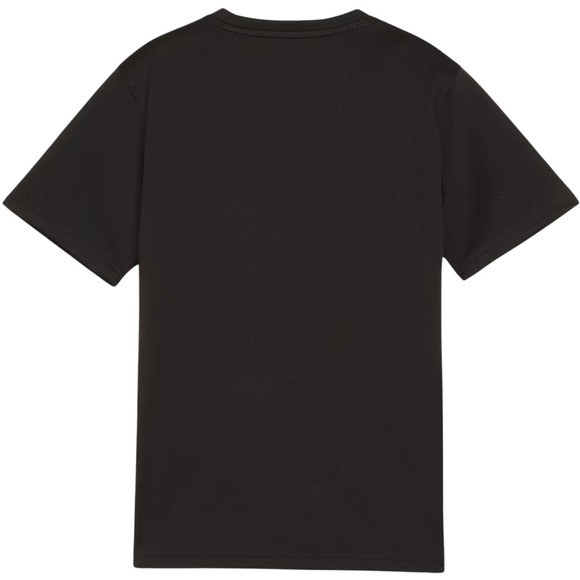 Koszulka dla dzieci Puma TeamGoal Jersey czarna 658637 03