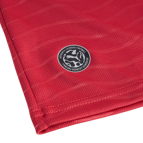 Koszulka dla dzieci Puma Portugalia FPF Home Jersey Replica 788144 77