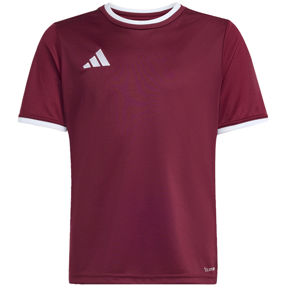 Koszulka dla dzieci adidas Entrada 26 Jersey bordowa JZ2530