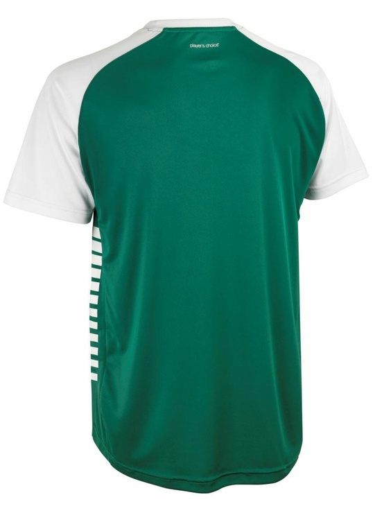 Koszulka Piłkarska Select Pisa X zielono biała