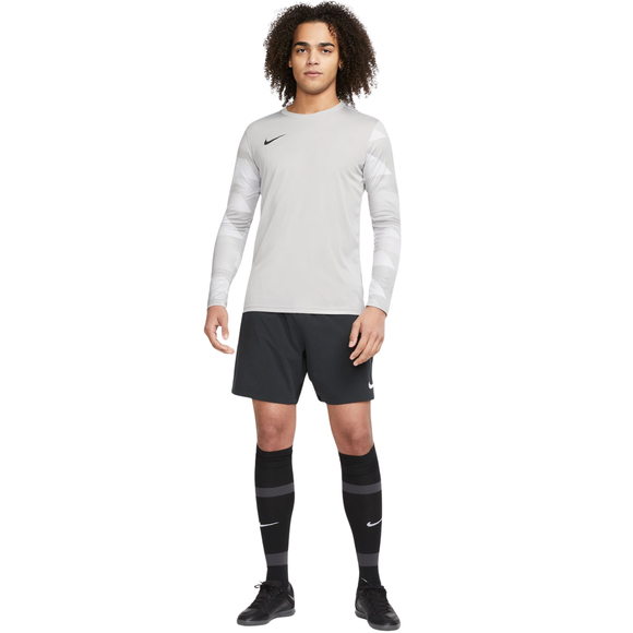Bluza bramkarska męska Nike Dry Park IV JSY LS GK szara CJ6066 052