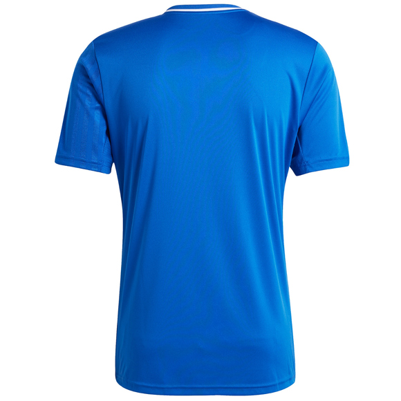 Koszulka męska adidas Campeon 25 Jersey niebieska JD9099 