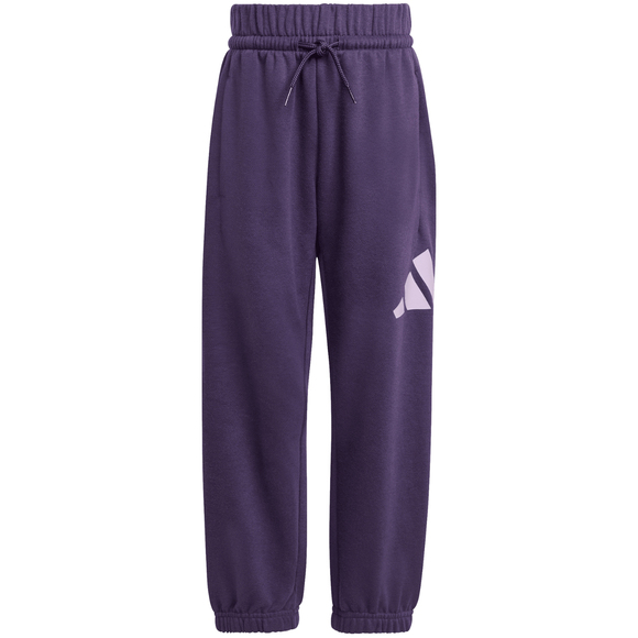 Dres dla dzieci adidas Essentials Joggers fioletowy JW2439