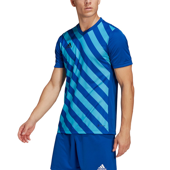 Koszulka męska adidas Entrada 22 Graphic Jersey niebiesko-błękitna HF0116