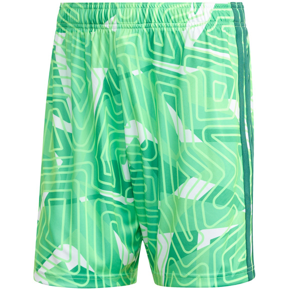 Spodenki męskie adidas Tiro 26 Competition Goalkeeper zielone KC5346