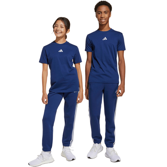Spodnie dla dzieci adidas Essentials niebieskie JY0603