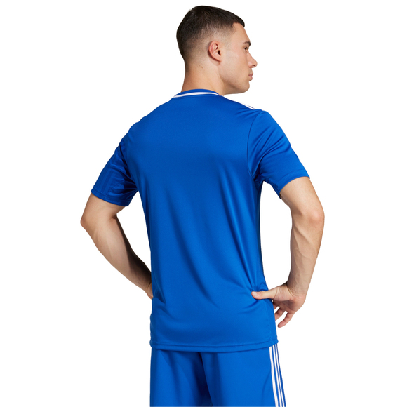 Koszulka męska adidas Campeon 25 Jersey niebieska JD9099 