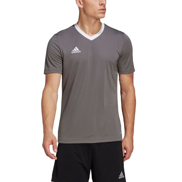 Koszulka męska adidas Entrada 22 Jersey szara HE1574