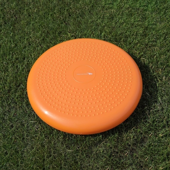 Beret stabilizacyjny, dysk pompowany