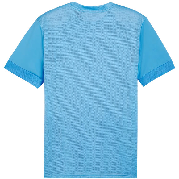 Koszulka męska Puma teamGoal Matchday Jersey błękitna 705747 18