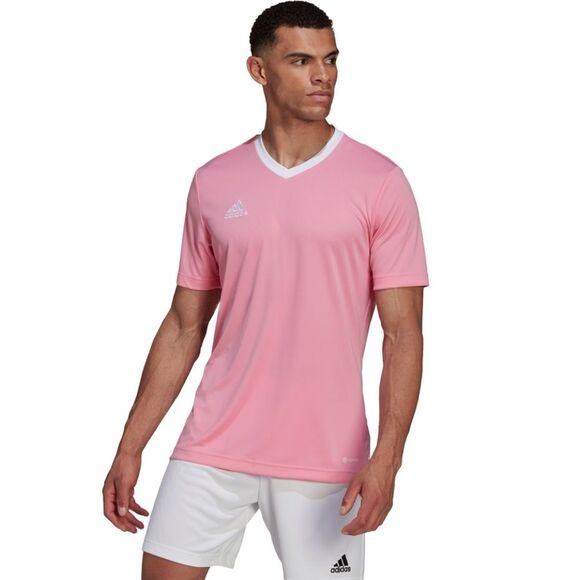 Koszulka męska adidas Entrada 22 Jersey różowa HC5072