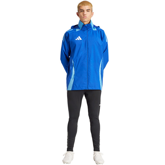 Spodenki męskie adidas Tiro 24 szare IS1408