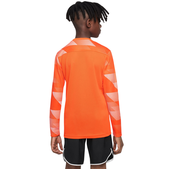 Bluza bramkarska dla dzieci Nike Dry Park IV JSY LS GK JUNIOR pomarańczowa CJ6072 819