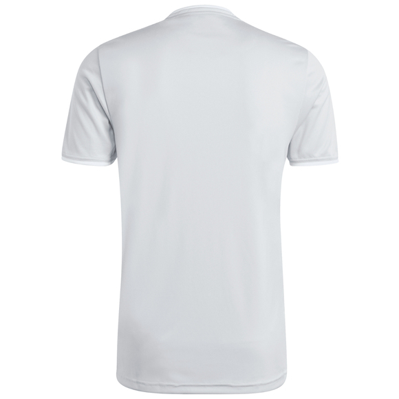 Koszulka męska adidas Entrada 26 Jersey jasnoszara JZ2511